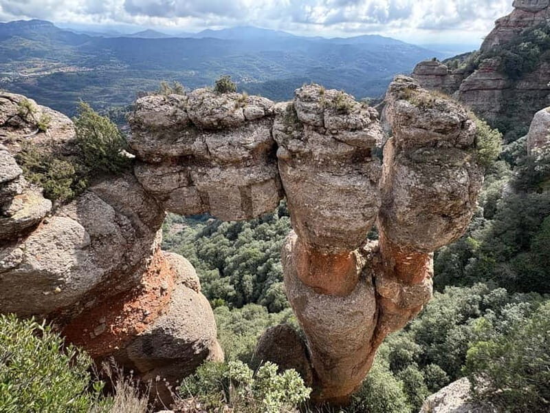 Barcelona walking tour through World Expos & Olympic Games - What’s Included and What to Consider