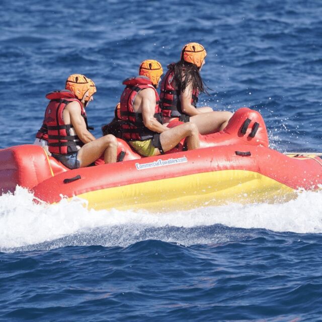 Barcelona: Water bull Experience - What Is the WaterBull Experience?