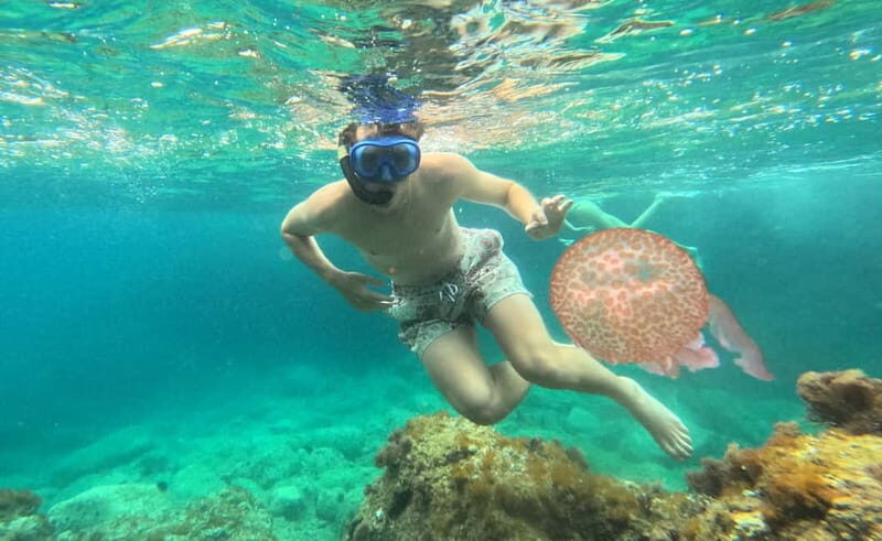 Barcelona Wild Experience: Kayak & Snorkel in Costa Brava - Final Thoughts