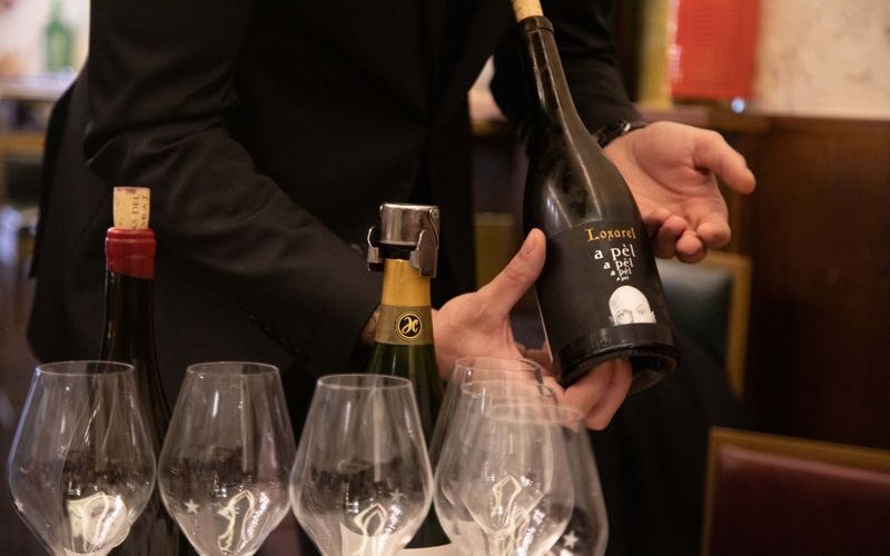Barcelona wine and gourmet food tour - Booking details worth checking