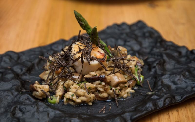 Barcelona wine and gourmet food tour - Should you book this Barcelona food tour?