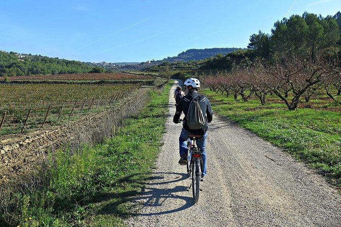 Barcelona: Wine E-Bike Half Day Tour in Penedès - Tour Overview and Experience