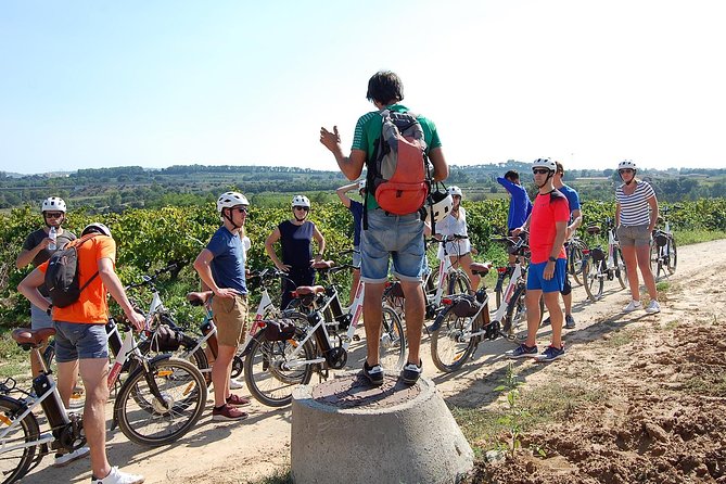 Barcelona: Wine E-Bike Half Day Tour in Penedès - Tour Highlights