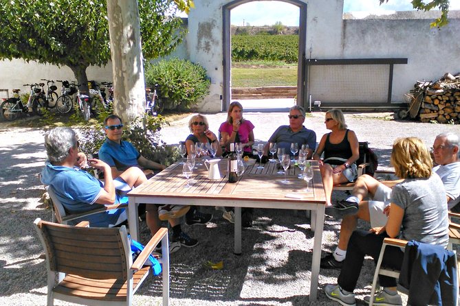 Barcelona: Wine E-Bike Half Day Tour in Penedès - Wine Production Education