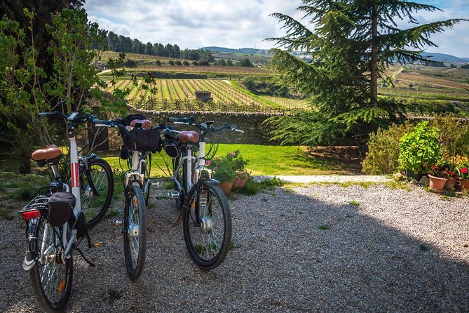 Barcelona: Wine E-Bike Half Day Tour in Penedès - Cancellation Policy