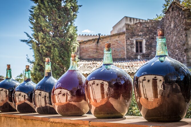 Barcelona Wine Tasting Private Tour With Wine Expert - Expert Wine Guide