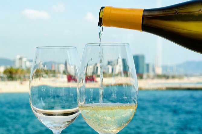 Barcelona Wine Tasting Private Tour With Wine Expert - Common Questions