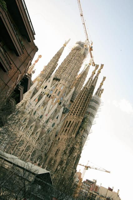 Barcelona: Wine Tasting With Views of the Sagrada Familia - Highlights of the Tasting