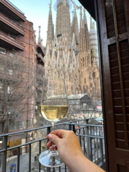 Barcelona: Wine Tasting With Views of the Sagrada Familia - Accessibility Information