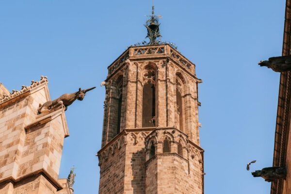 Barcelona's Timeless Treasures: Centenarians Shops & Secrets - Special Circumstances Impacts
