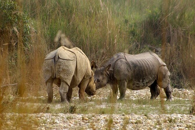 Bardia National Park Jungle Safari Tour Package - 3 Nights 4 Days - Itinerary and Activities