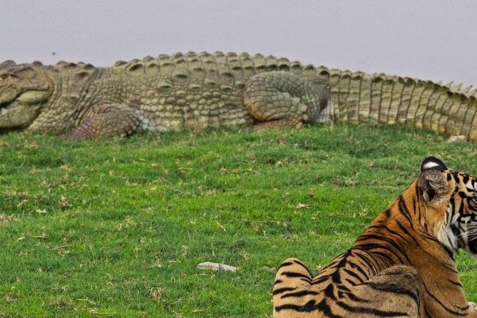 Bardia National Park Tour - Additional Details and Information