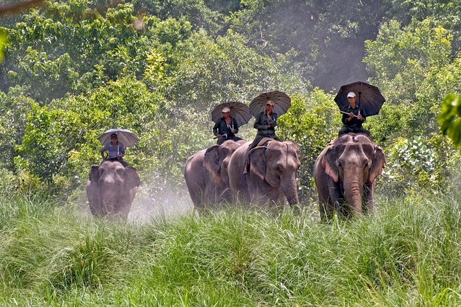 Bardia National Park Tour - Common Questions