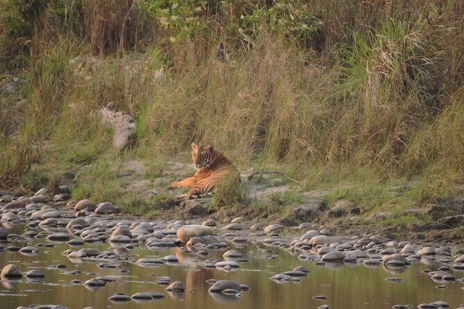 Bardia Tiger Tracking Tour 5 Nights 6 Days Full Package - Is This Tour Worth the Cost?