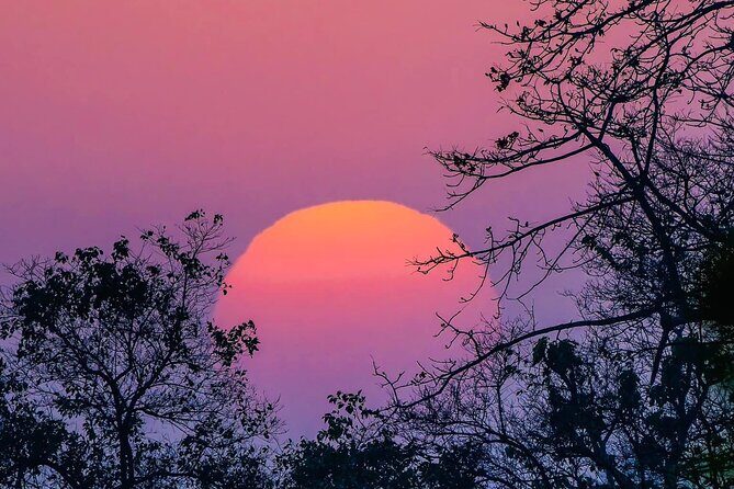 Bardia Tiger Tracking Tour 5 Nights 6 Days Full Package - FAQ