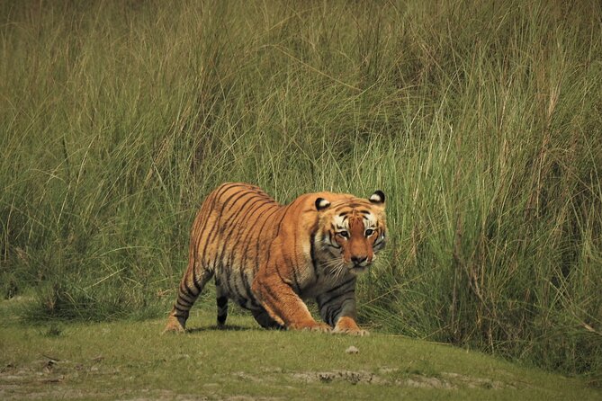 Bardia Walking Safari Tour 3 Nights 4 Days - Inclusions and Experiences