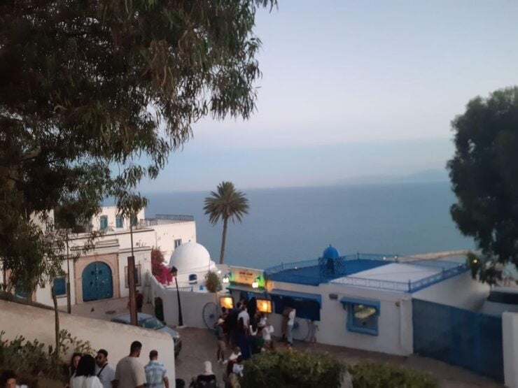 Bardo Museum, Sidibousaid, Medina, Carthage - Sidibousaid: Beauty and Culture