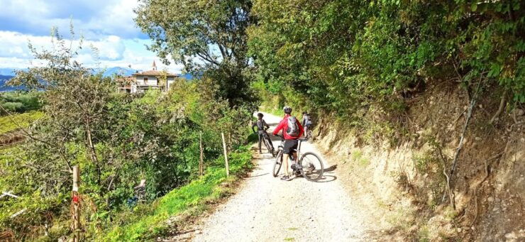 Bardolino: E-Bike Tour and Wine Tasting on the Hills - Activity Details