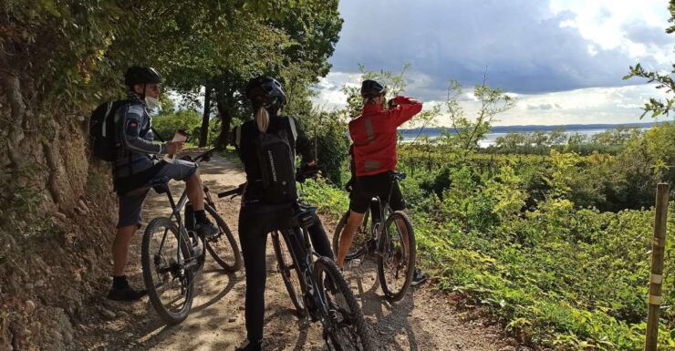 Bardolino: E-Bike Tour and Wine Tasting on the Hills - Reservation Information