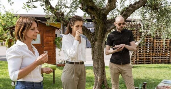 Bardolino: Lake Garda Oil Mill Tour With Olive Oil Tasting - Highlights