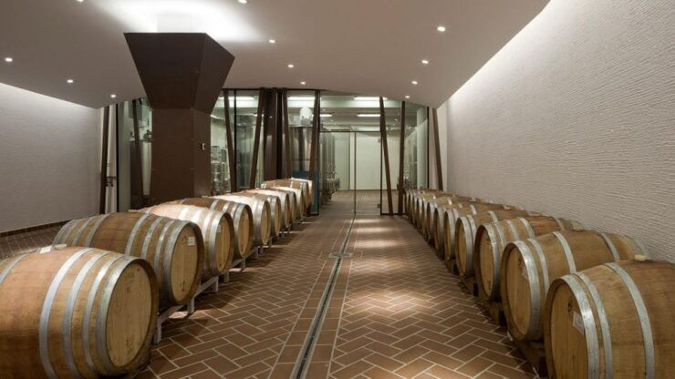 Bardolino: Tasting of 6 Red Valpolicella and Garda Wines - Tasting Highlights