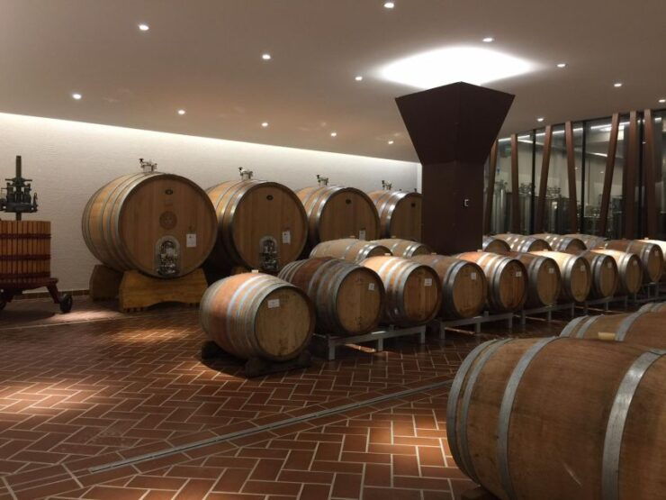 Bardolino: Tasting of 6 Red Valpolicella and Garda Wines - Wine Selection