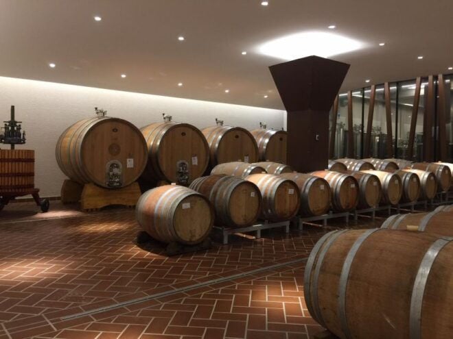 Bardolino: Tasting of 6 White and Rosè Wines With Lake View - Pricing and Duration Details
