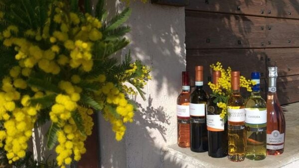 Bardolino: Tasting of 6 White and Rosè Wines With Lake View - Frequently Asked Questions