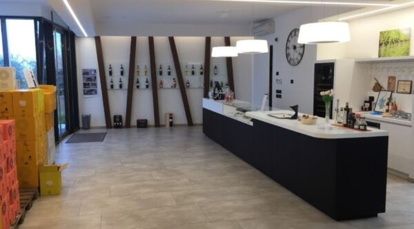 Bardolino: Tasting of 6 White and Rosè Wines With Lake View - The Sum Up
