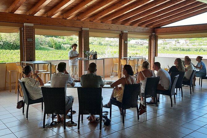 Bardolino: Vineyard Tour, Wine, Oil and Food Tasting - Tour Highlights