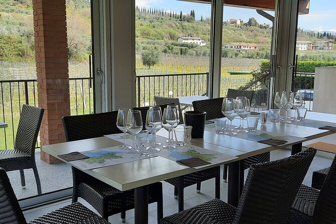 Bardolino: Vineyard Tour, Wine, Oil and Food Tasting - Vineyard Overview