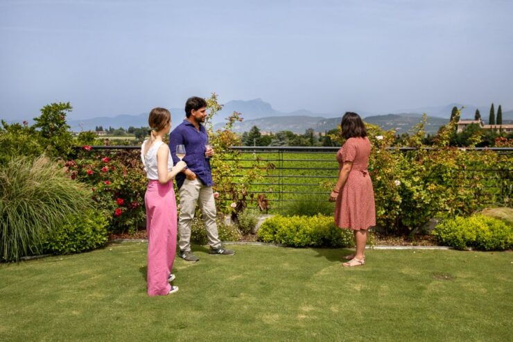 Bardolino: Vineyard Tour With Wine and Food Tasting - Activity Details