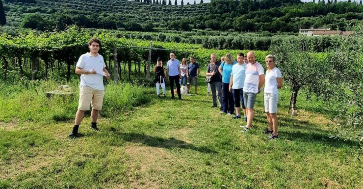 Bardolino: Vineyard Tour With Wine, Olive Oil & Food Tasting - Tour Description