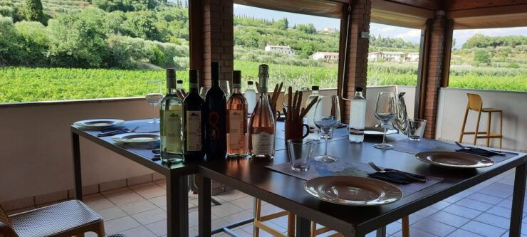 Bardolino: Vineyard Tour With Wine, Olive Oil & Food Tasting - Tour Experience