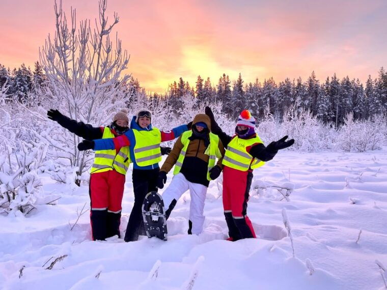 Bardufoss: Wild Moose Safari with Lunch - Transport, Group Size, and Overall Value