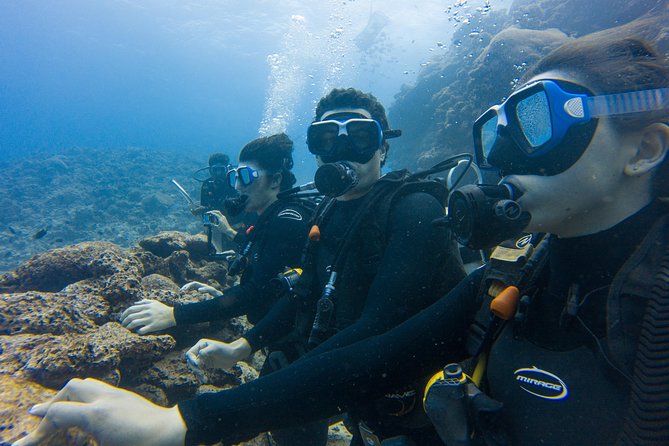 Barefoot Kuata Day Cruise From Denarau - 2-Course Lunch at Barefoot Kuata Resort