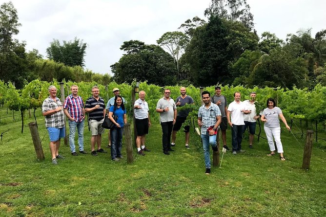 Barefoot Luxury Mount Tamborine Winery Tour From Brisbane - Pickup and Cancellation Policy
