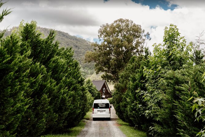 Barefoot Luxury Mount Tamborine Winery Tour From Brisbane - Traveler Photos and Reviews