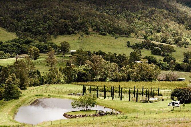 Barefoot Luxury Mount Tamborine Winery Tour From Brisbane - The Sum Up