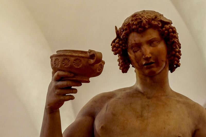 Bargello National Museum Ticket in Florence - Michelangelo’s sculptures, from Bacchus to Brutus