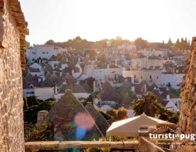 Bari: Alberobello and Polignano a Mare Half-Day Trip - Experience Highlights and Inclusions