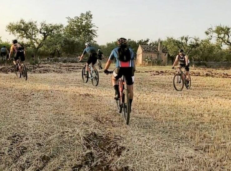 Bari: Ebike Excursion to the Mercadante Forest - Expert-Guided Ebike Tour Adventure