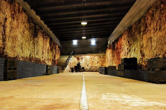 Bari/Gioia Del Colle: Bike Among Vineyards & Wine Tastings - Logistics