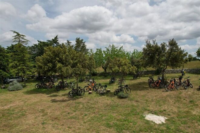 Bari/Gioia Del Colle: Bike Among Vineyards & Wine Tastings - Important Information