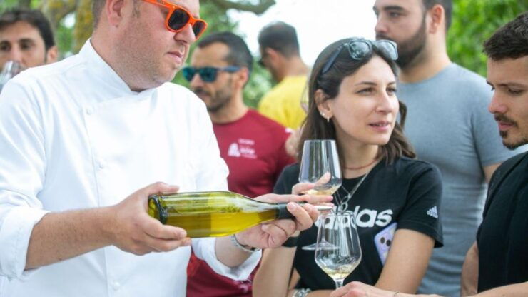 Bari/Gioia Del Colle: Ebike Tour, Cellar Visit & Tasting - Tour Highlights