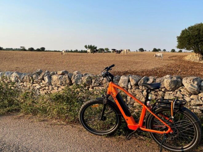 Bari/Gioia Del Colle: Ebike Tour & Toasts in Vineyard - Meeting Point Details