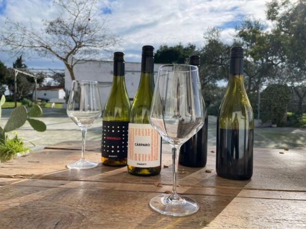 Bari/Gioia Del Colle: Ebike Tour & Toasts in Vineyard - Detailed Itinerary