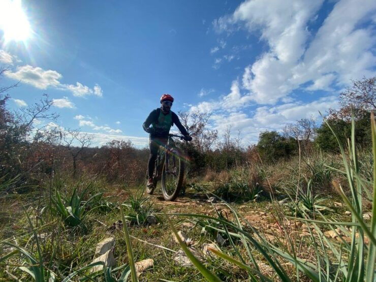 Bari: Highlights Rent Mountain Bike - Bike Rental Information