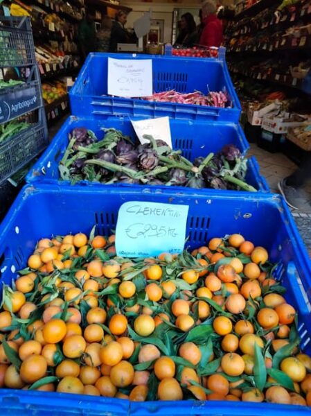Bari: Market Tour & Authentic Aperitivo at a Locals Home - Booking Details