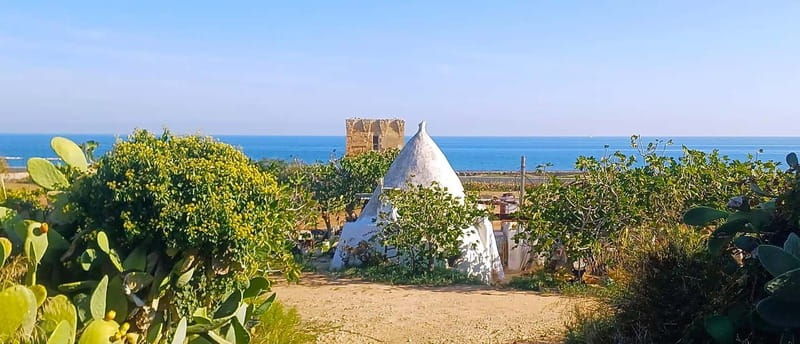 Bari: Tour Polignano Alberobello Matera (Private or Shared) - What’s Included and What’s Not